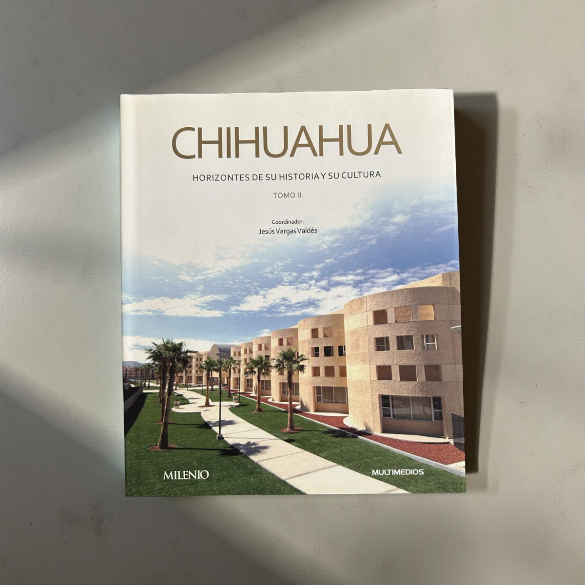 Chihuahua. Horizontes de su Historia y su Cultura